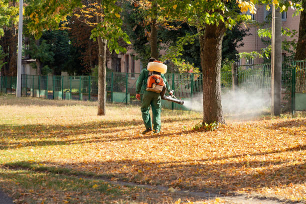 Best Pest Control Cost  in Eulyptus Hills, CA